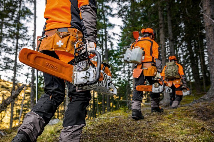 MS 241 C-M (40 см) - STIHL