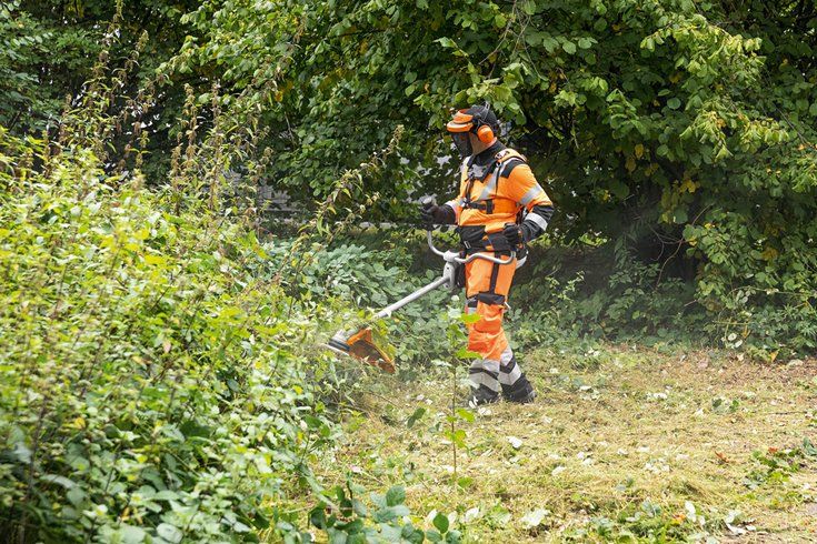 FS 561 C-EM - STIHL