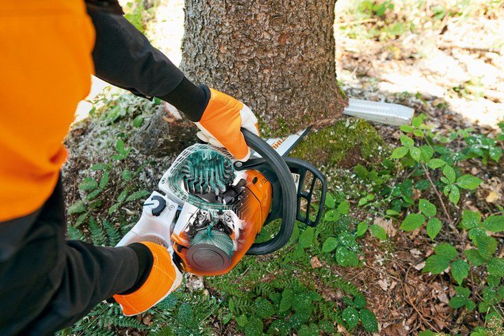 MS 241 C-M (40 см) - STIHL