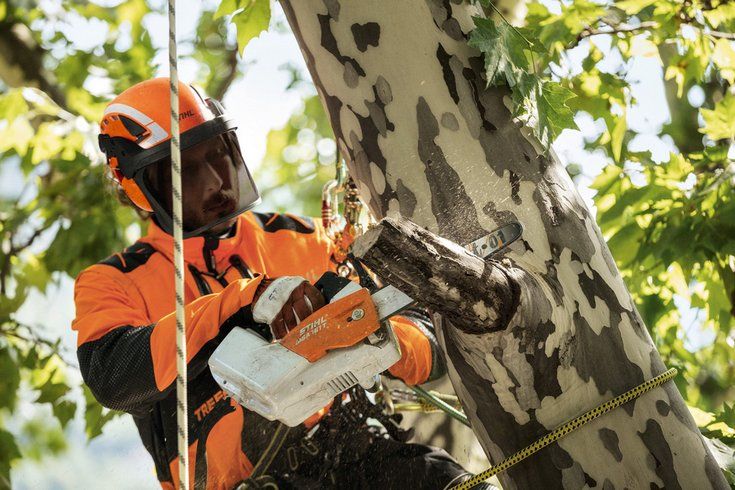 MSA 161 T (25 см., без АК и ЗУ) - STIHL