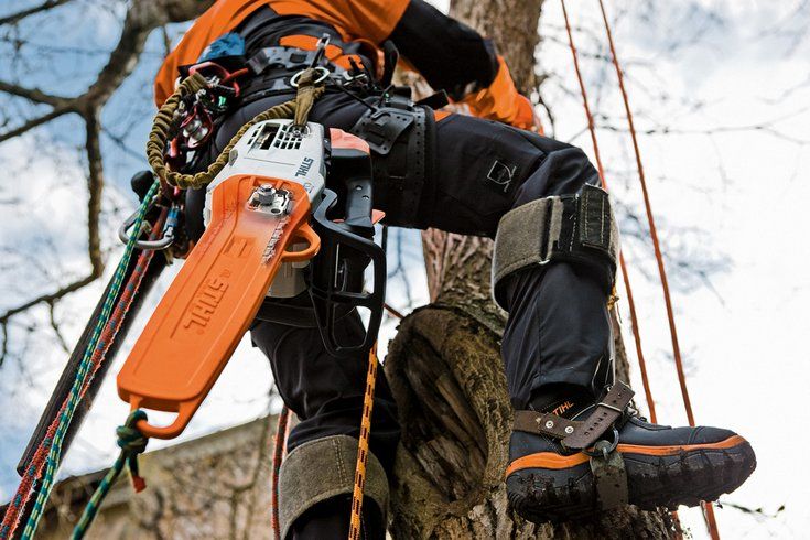 MS 201 TC-M (40 см) - STIHL