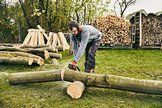 MS 180 (40 см) - STIHL