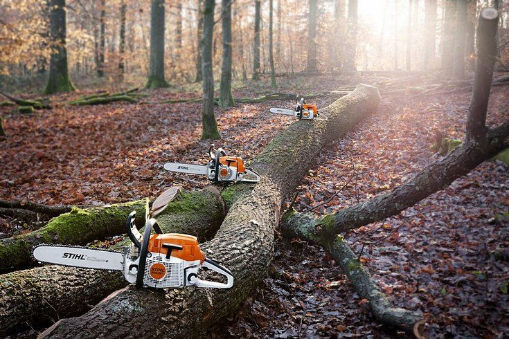 MS 260 (45 см) - STIHL