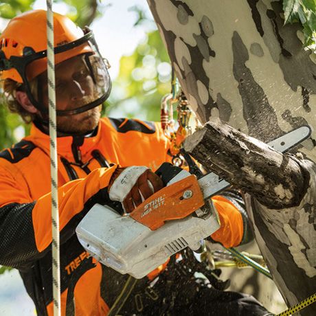 MSA 161 T Set (25 см., AP 300 + AL 300) - STIHL